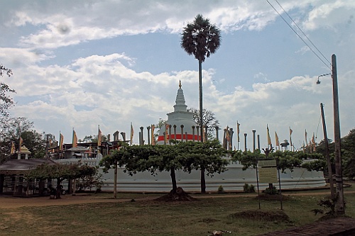 SriLan (196)